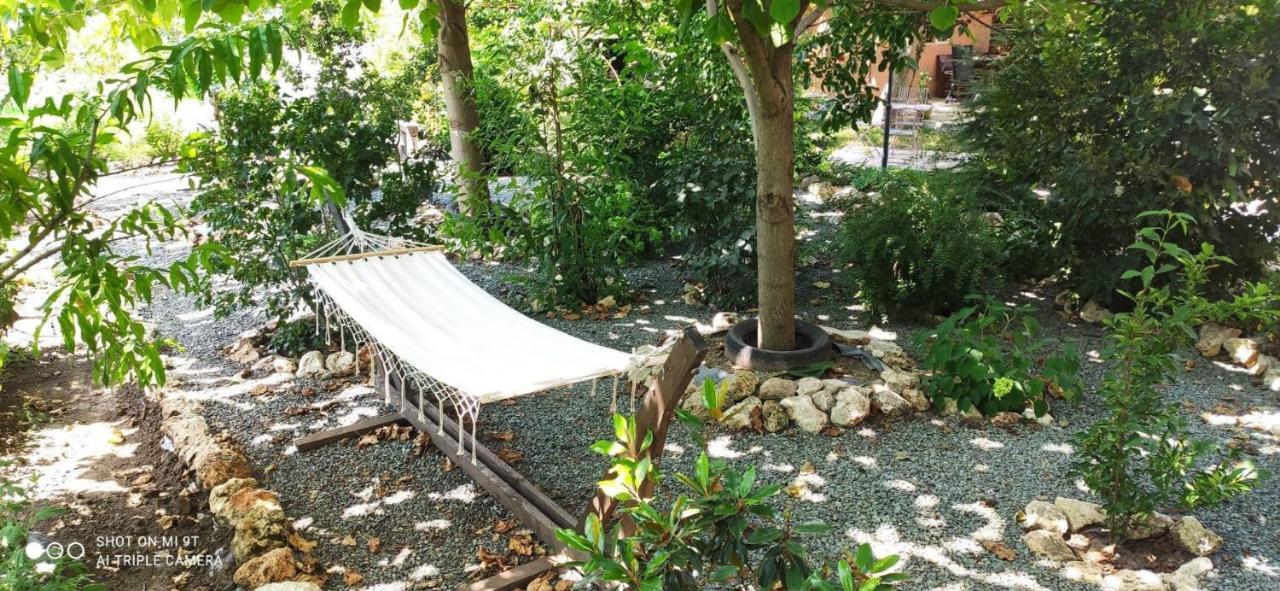 Casa Magnolia Hotel Douăzeci şi Trei August Exterior foto